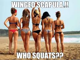 The Real Beach Muscles and How to Get Them- Kasey Esser